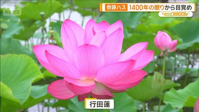 メイン記事画像