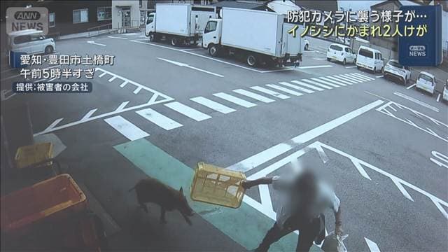 メイン記事画像
