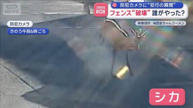 メイン記事画像