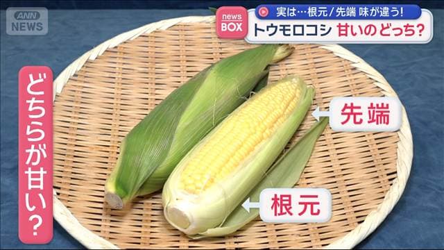 メイン記事画像