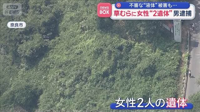 メイン記事画像