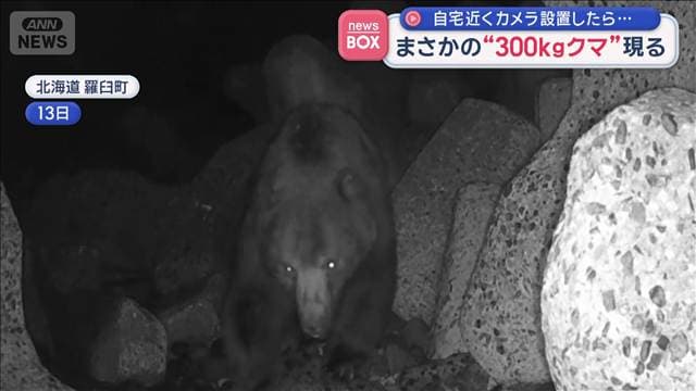 メイン記事画像