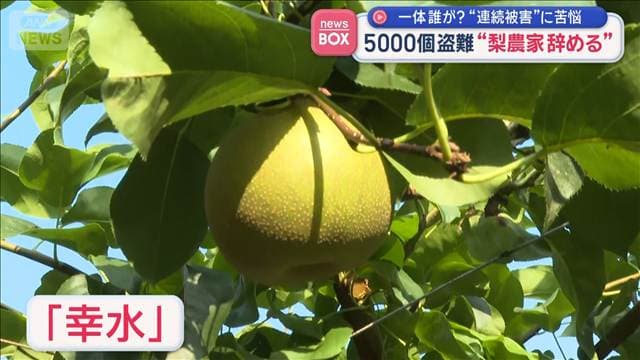 メイン記事画像