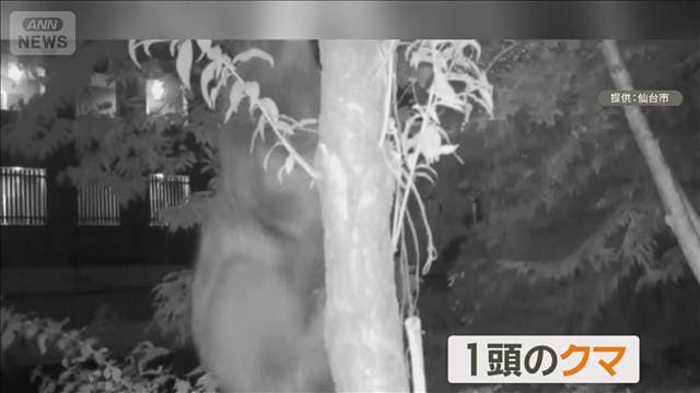 メイン記事画像