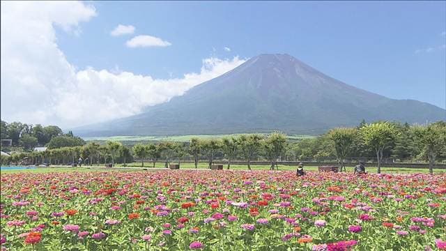 メイン記事画像