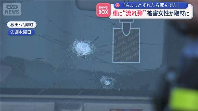 メイン記事画像