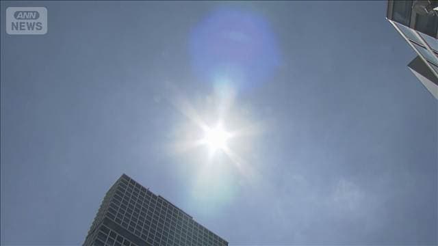 メイン記事画像