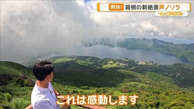 メイン記事画像