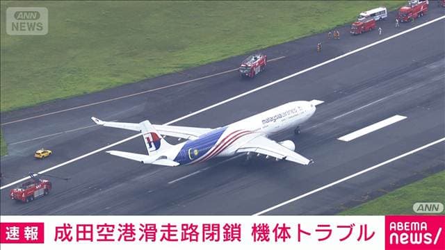 メイン記事画像
