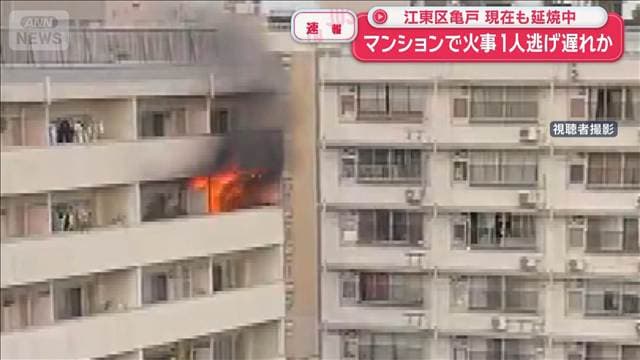 メイン記事画像