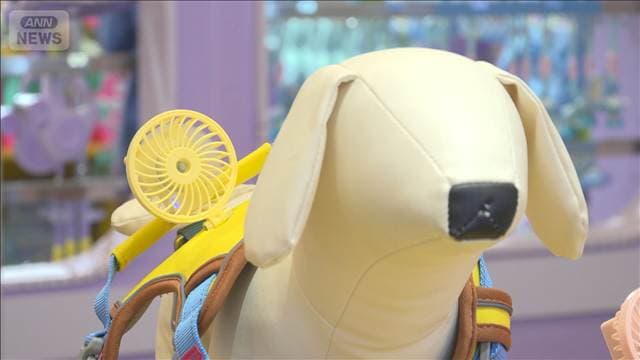 メイン記事画像