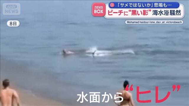 メイン記事画像