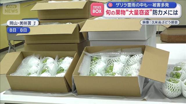 メイン記事画像