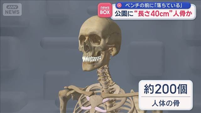 メイン記事画像