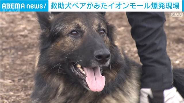 メイン記事画像
