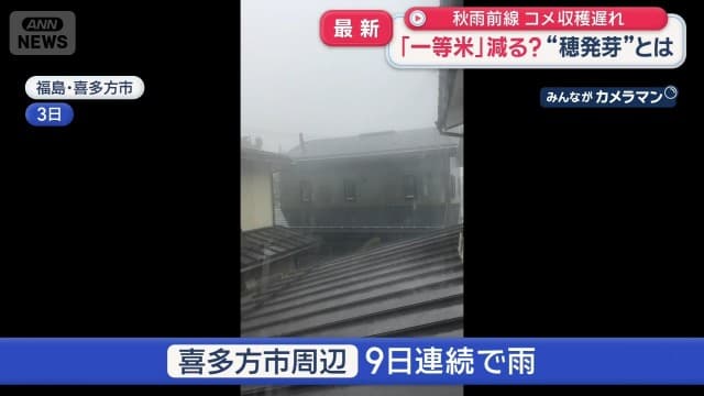 メイン記事画像