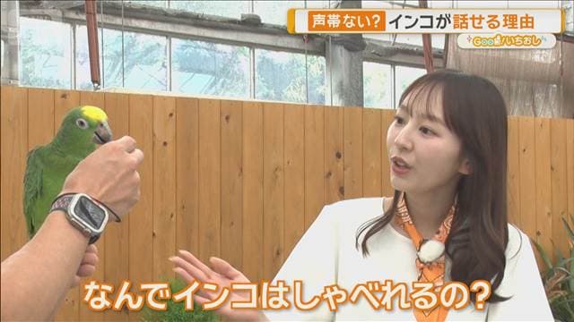 メイン記事画像