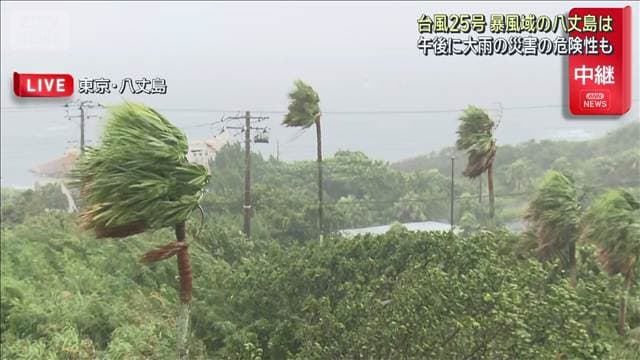 メイン記事画像