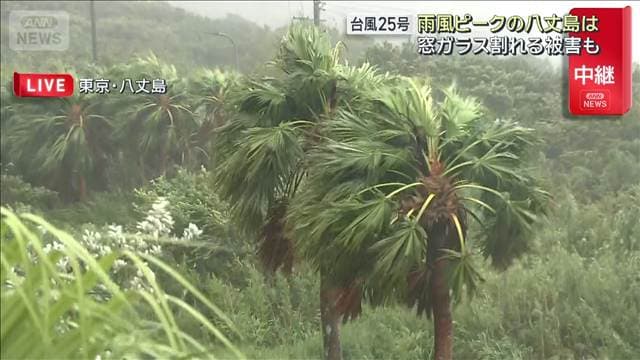 メイン記事画像