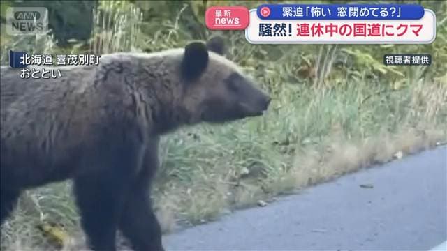 メイン記事画像