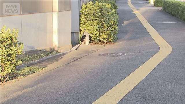 メイン記事画像