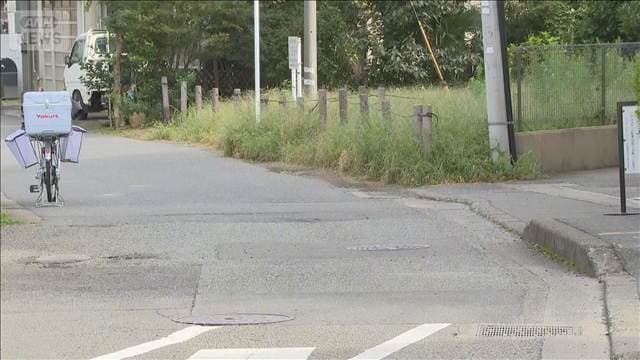 メイン記事画像