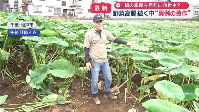 メイン記事画像