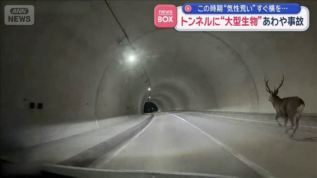 メイン記事画像