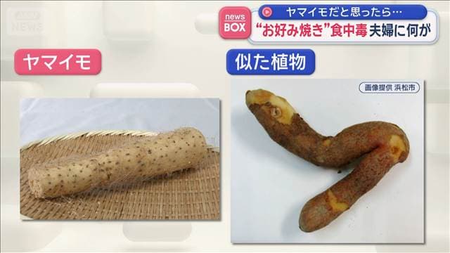 メイン記事画像