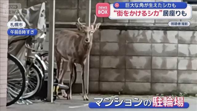 メイン記事画像