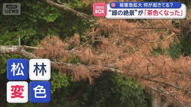 メイン記事画像