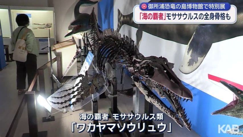 メイン記事画像