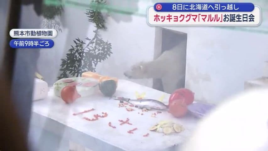 メイン記事画像