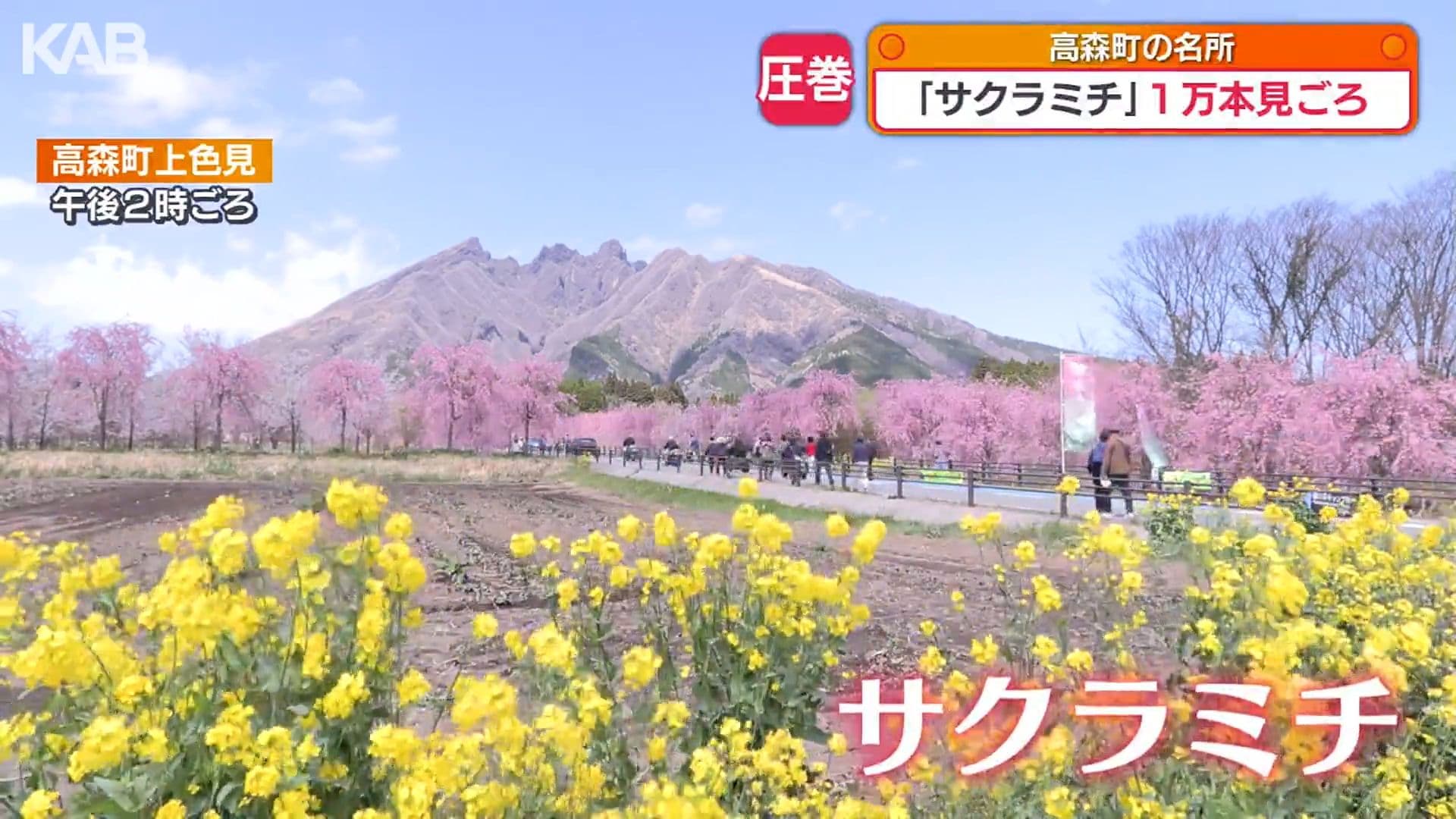 メイン記事画像