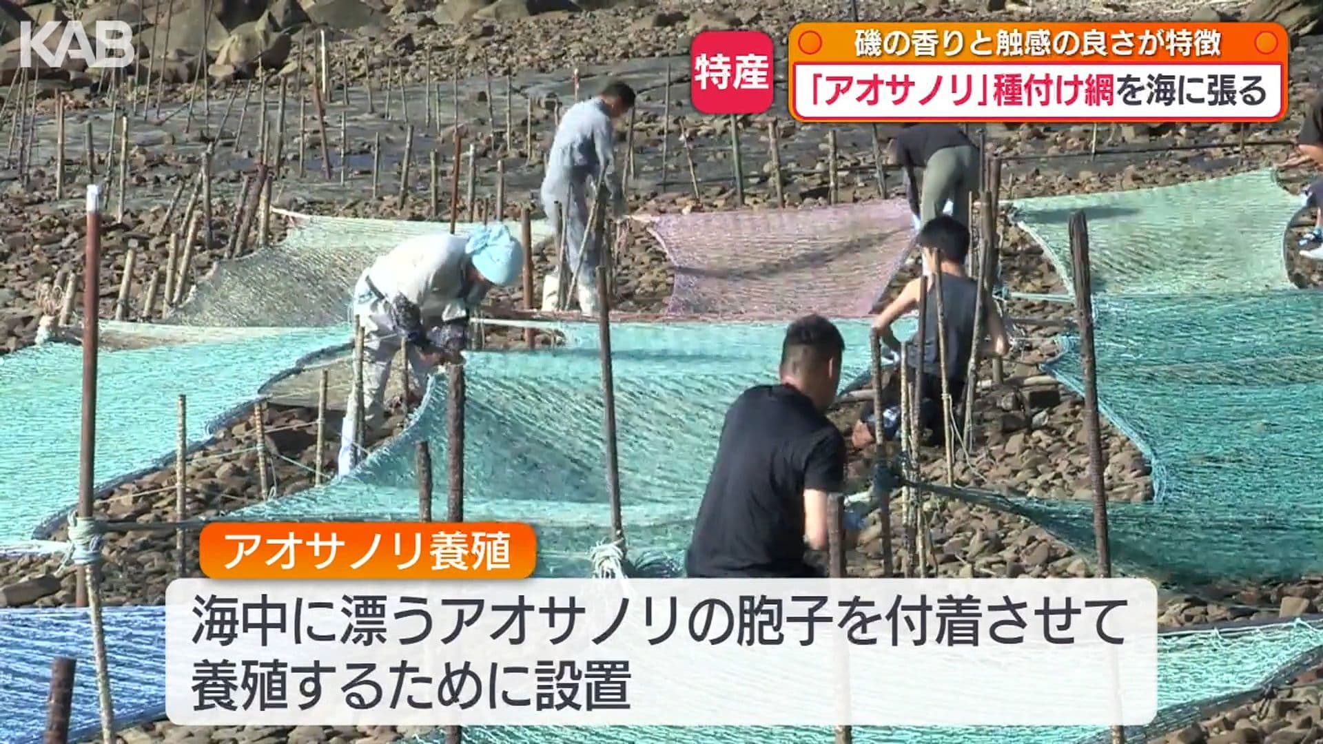 メイン記事画像