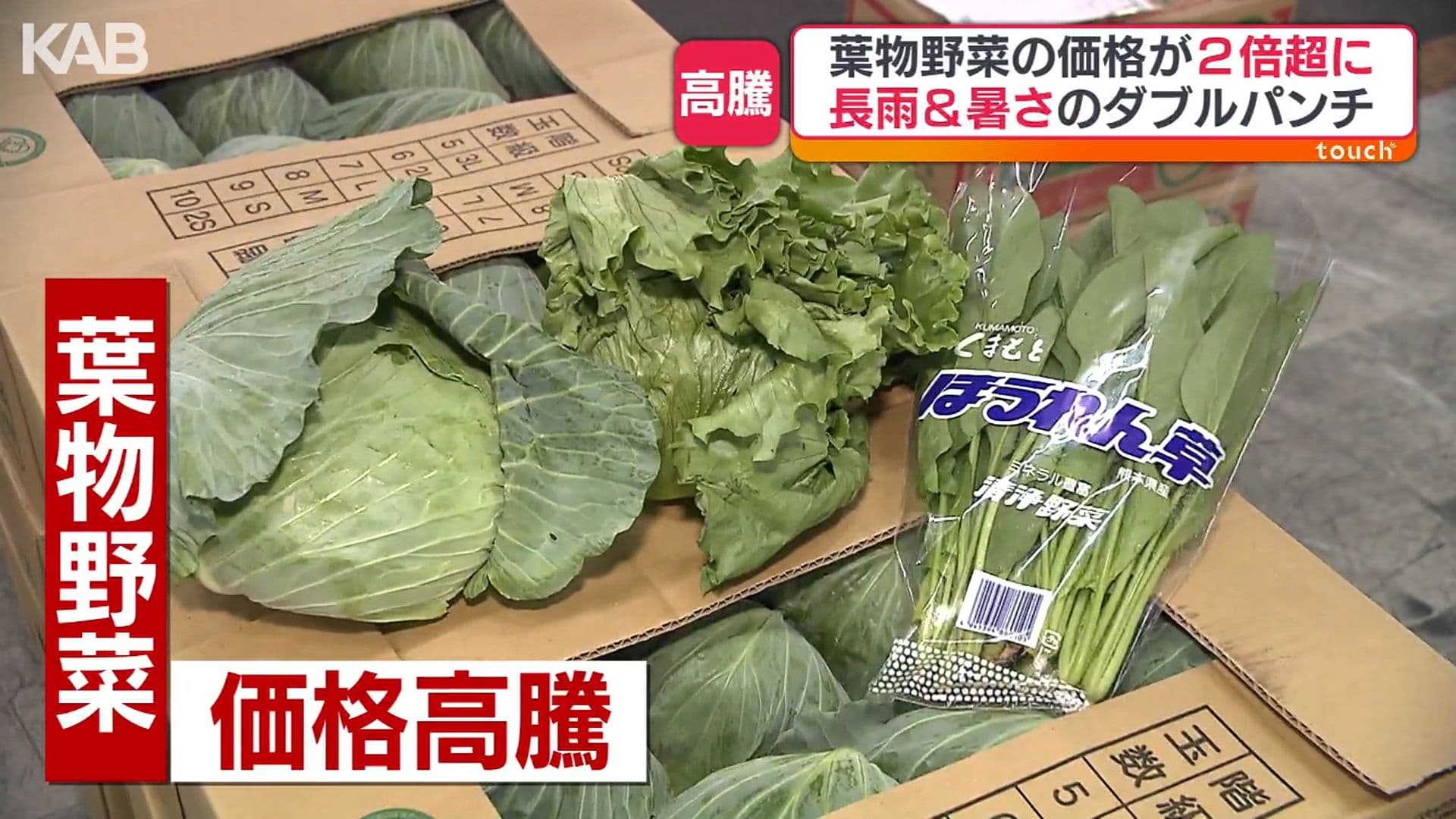 メイン記事画像