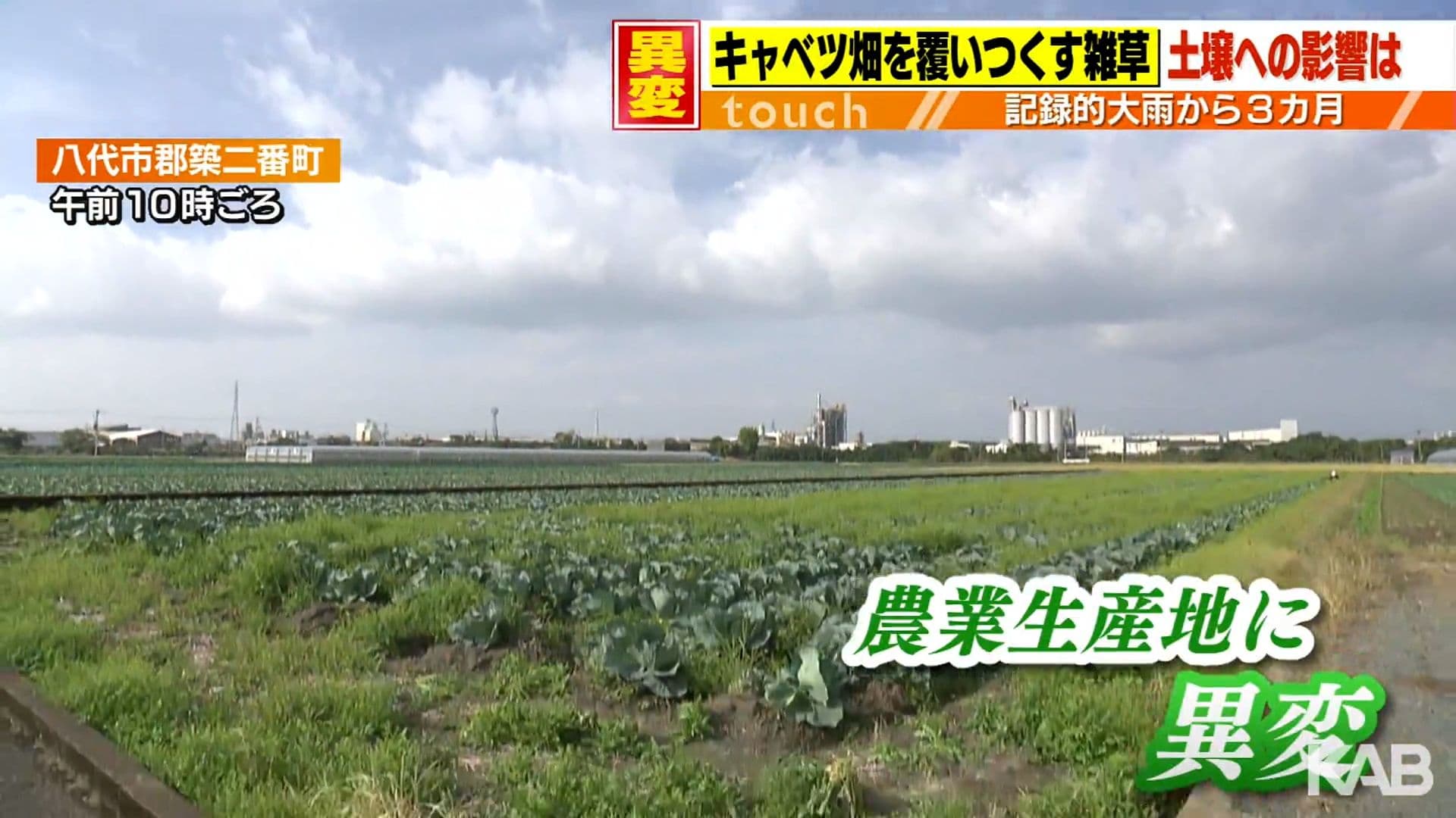 メイン記事画像