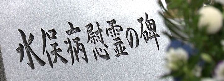 水俣病のサムネイル画像