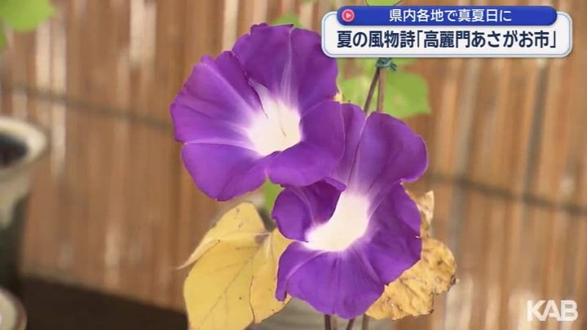 メイン記事画像