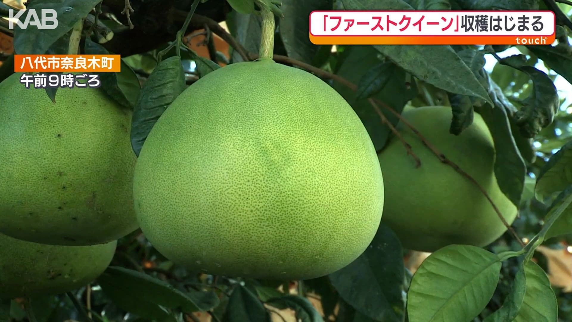 メイン記事画像