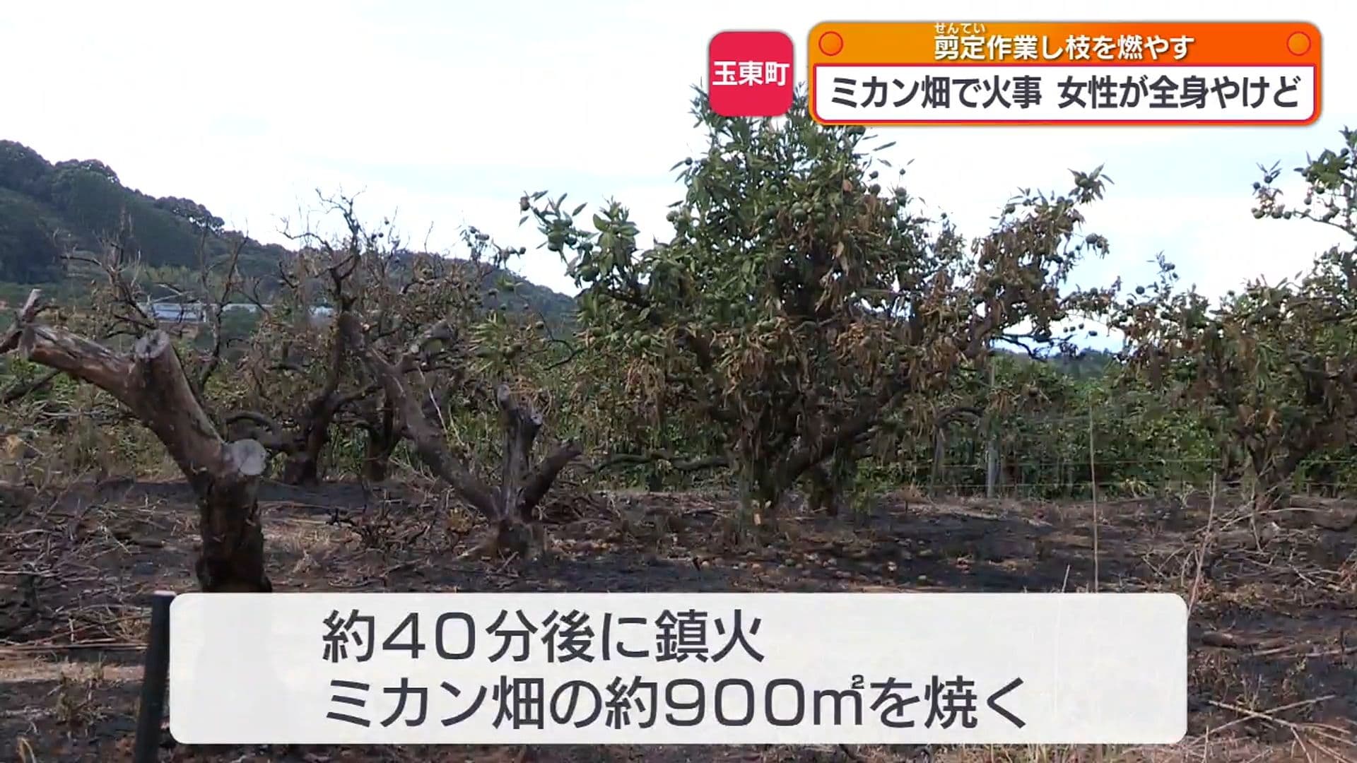 メイン記事画像