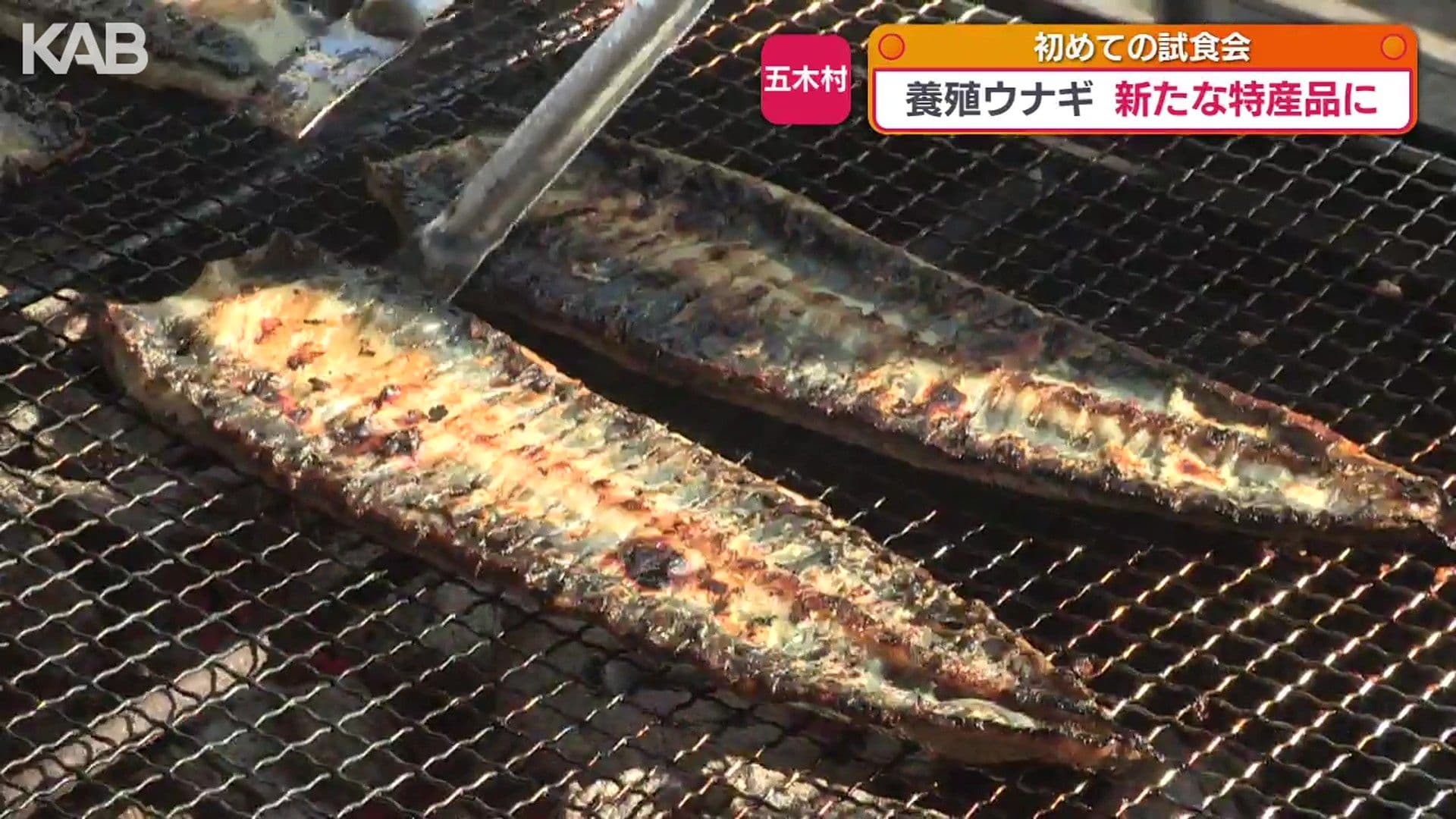 メイン記事画像
