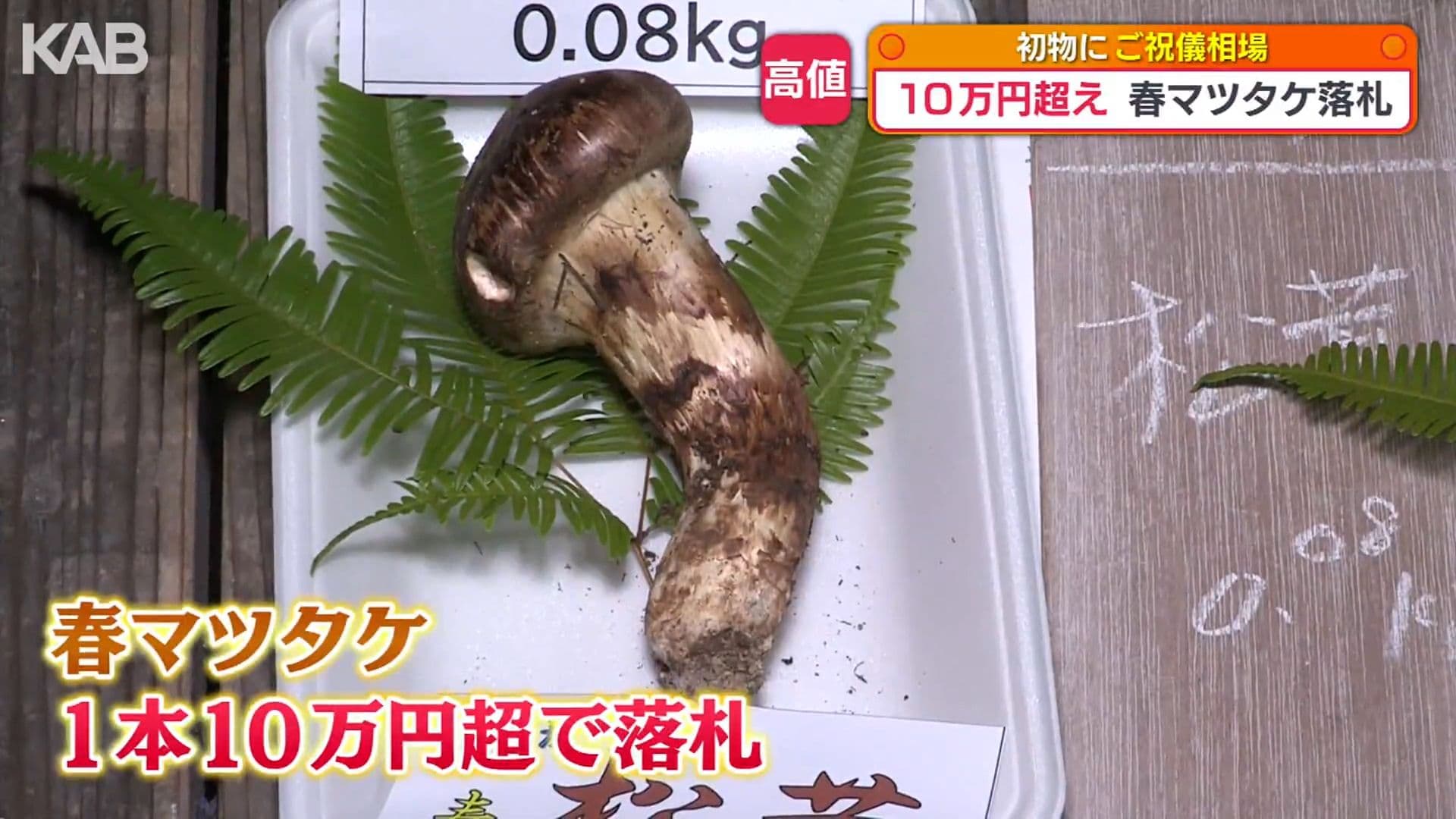 メイン記事画像