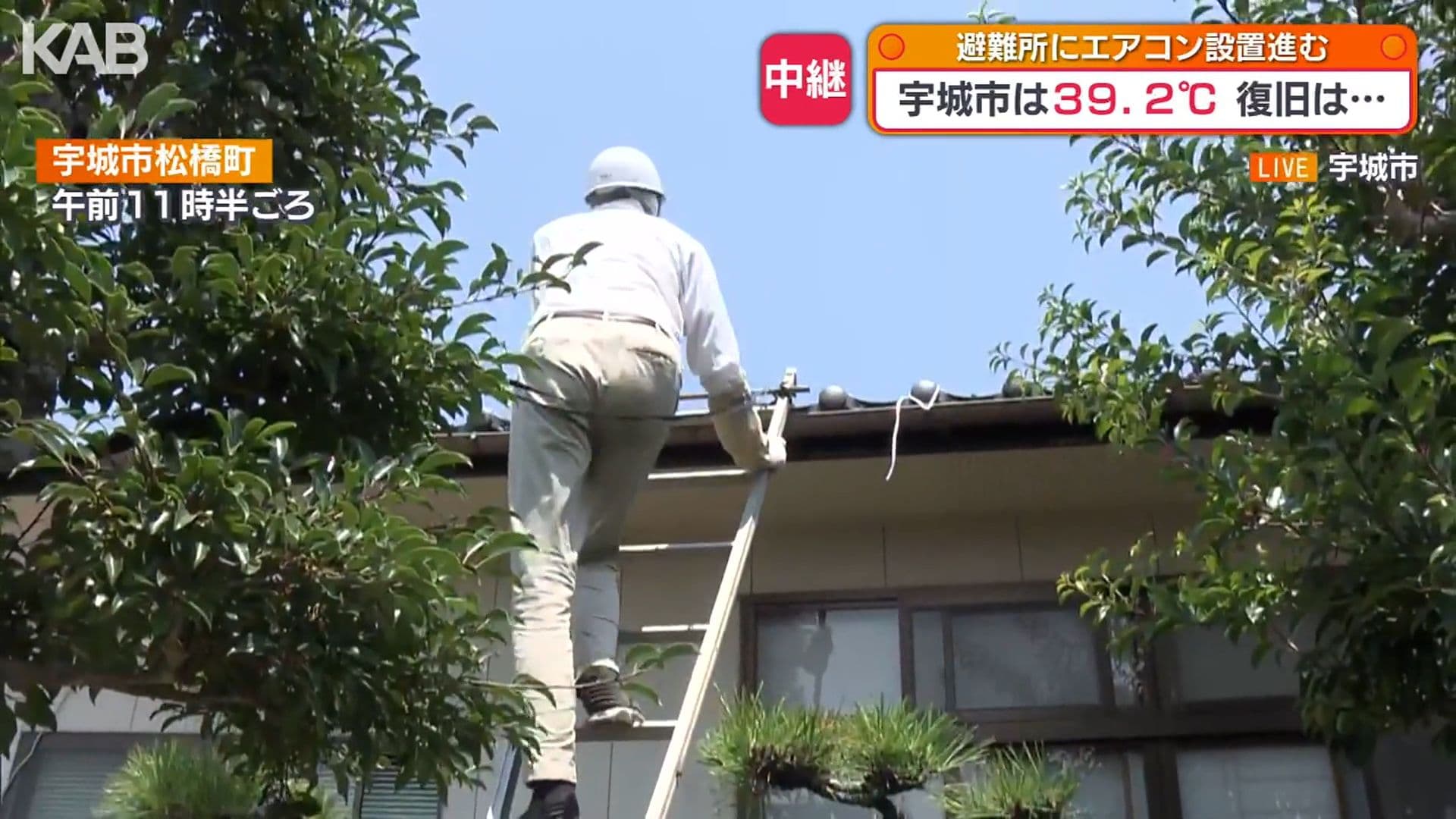 メイン記事画像