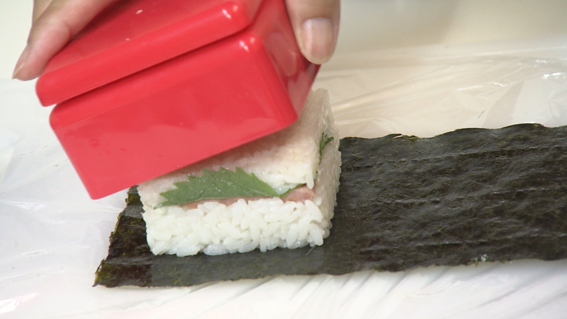 くまパワ 18年8月25日 土 イマコレハンズマン くまパワ 18年8月25日 土 イマコレハンズマン