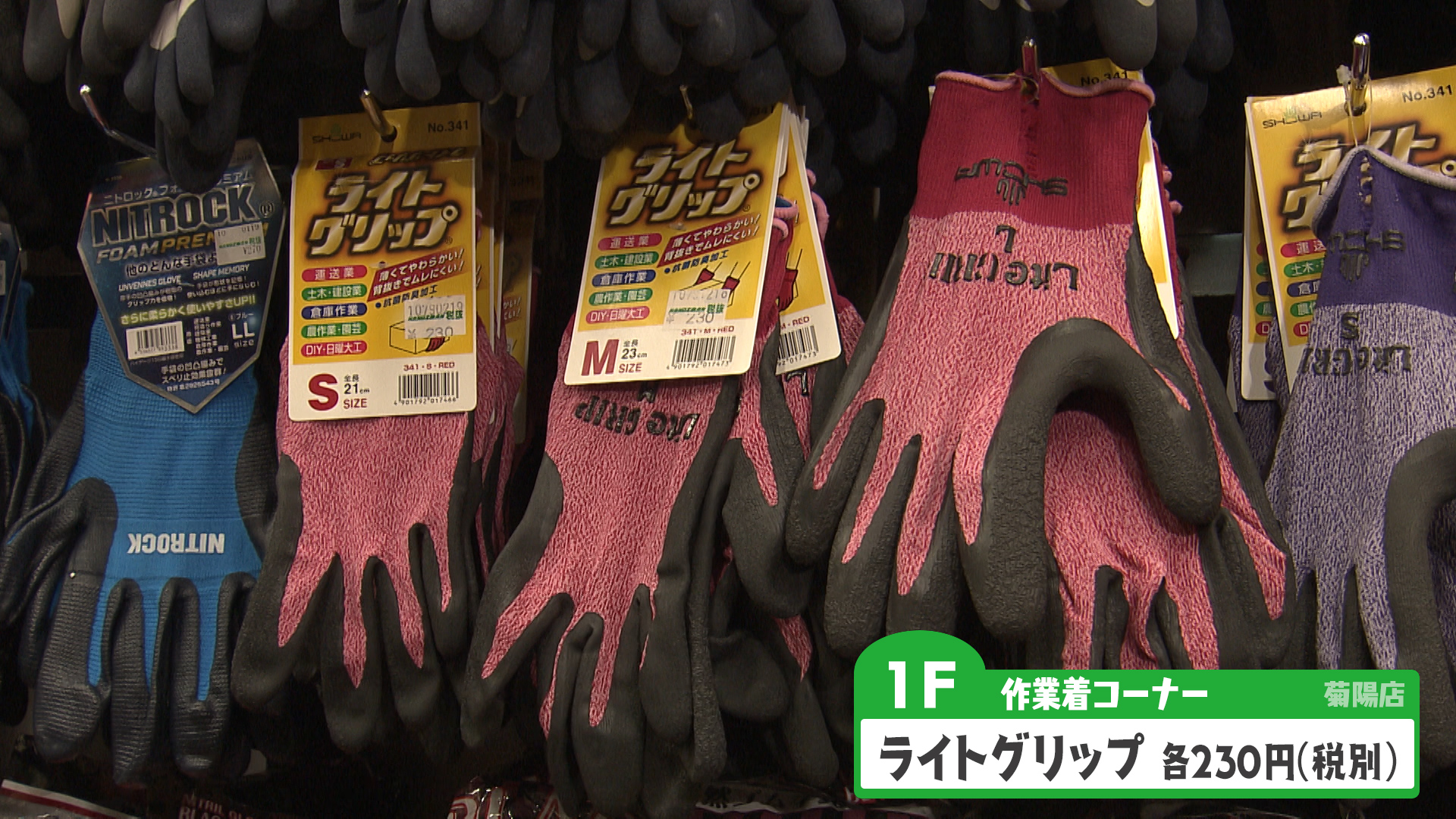 くまパワ 19年2月23日 土 イマコレ ハンズマン