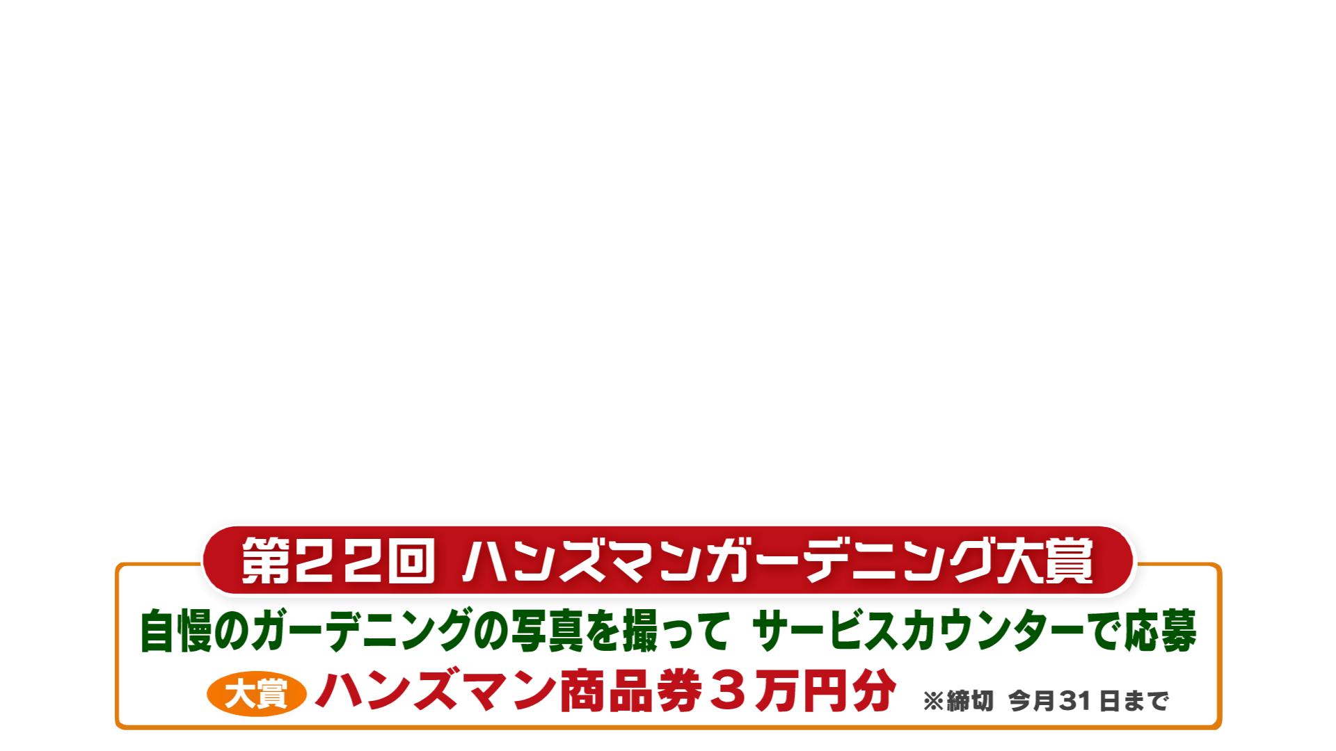 くまパワ 19年5月25日 土 イマコレ ハンズマン 新時代商品