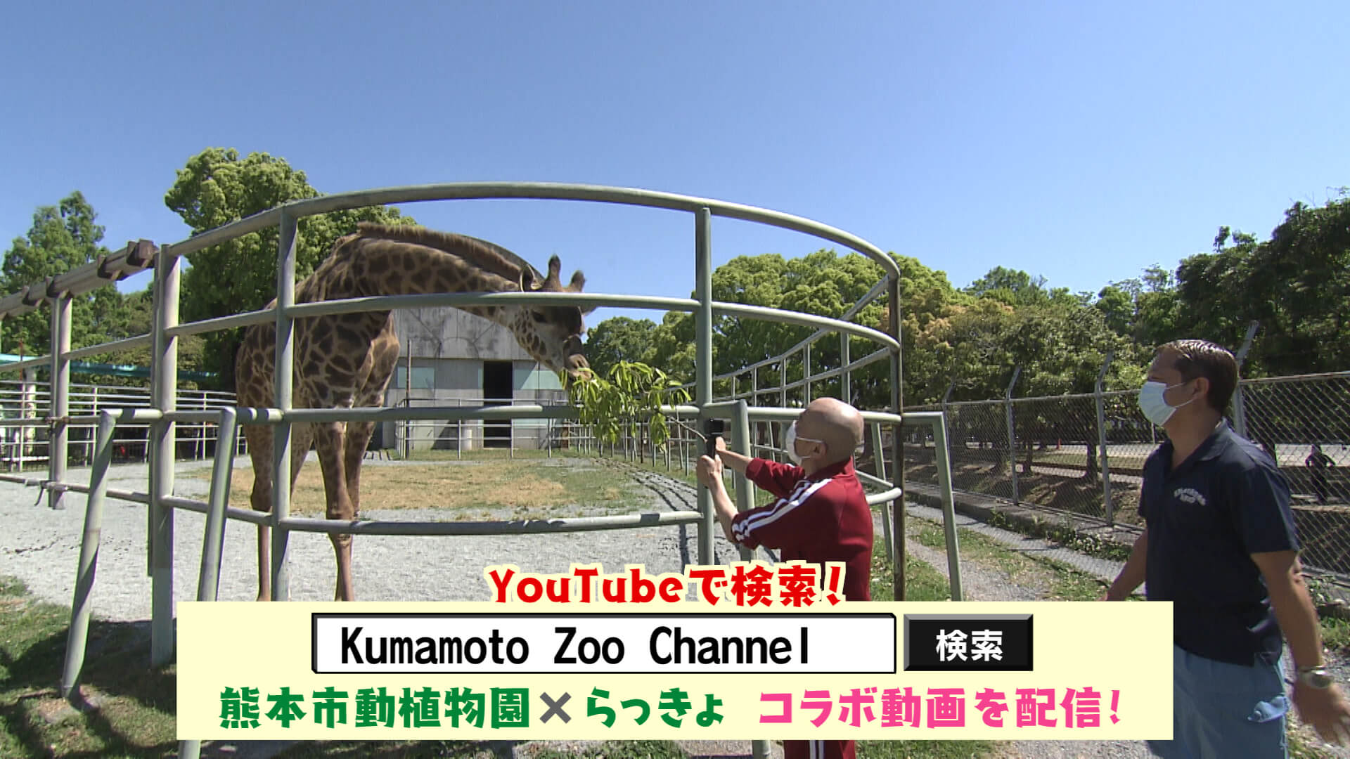 くまパワ 年5月16日 土 熊本市動植物園 Zoo Channel にらっきょ参戦