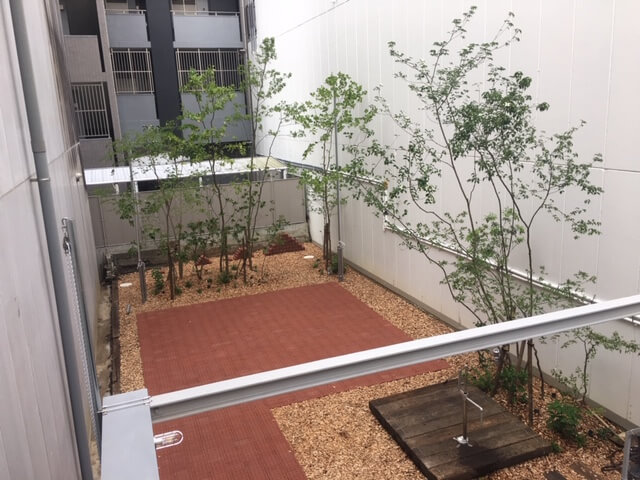 くまパワj 19年6月7日 金 旬感 中継 オモケンパーク