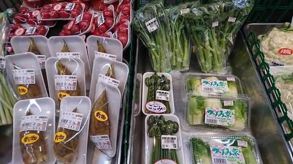 くまパワj 年1月27日 月 旬感 中継 暖冬で今野菜が安い 愛マート水前寺